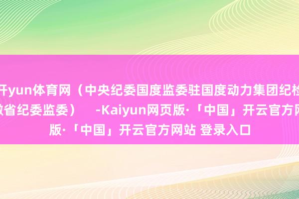 开yun体育网（中央纪委国度监委驻国度动力集团纪检监察组、安徽省纪委监委）    -Kaiyun网页版·「中国」开云官方网站 登录入口