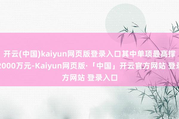 开云(中国)kaiyun网页版登录入口其中单项最高撑抓达2000万元-Kaiyun网页版·「中国」开云官方网站 登录入口