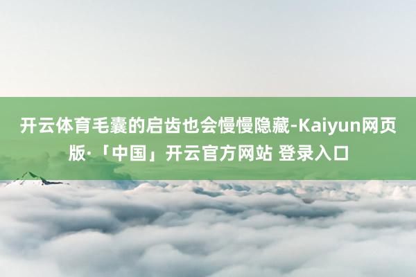 开云体育毛囊的启齿也会慢慢隐藏-Kaiyun网页版·「中国」开云官方网站 登录入口