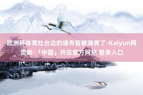 欧洲杯体育灶台边的墙布皆被滴黄了-Kaiyun网页版·「中国」开云官方网站 登录入口